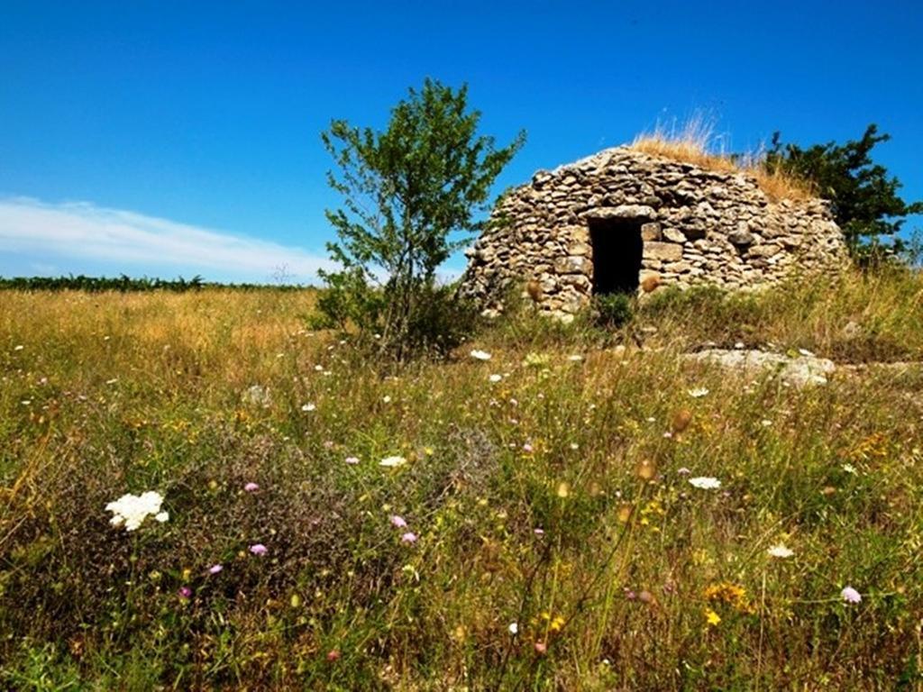 كانوسا دي بوليا Cefalicchio B&B المظهر الخارجي الصورة